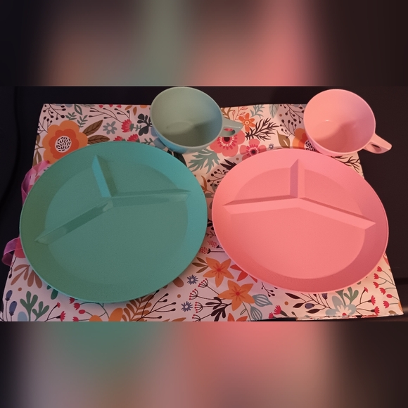 Vintage 1970 Hawkeye green picnic basket & 4 PackerWare divided picnic plates - Picture 9 of 13